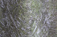 Harcourt fibreglass roof work